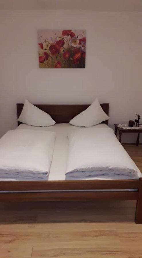 Apartman Milica Požarevac 외부 사진