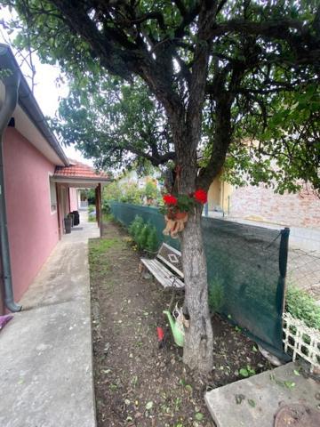 Apartman Milica Požarevac 외부 사진